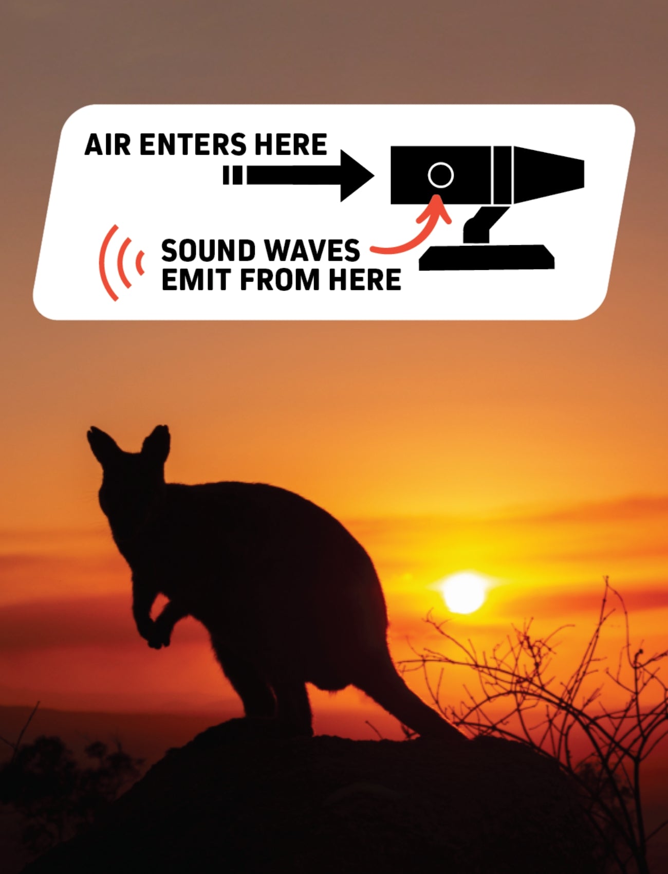 A kangaroo silhouette at sunset is complemented by a diagram showcasing Sunland-Protection's Roo Repeller, where air enters and sound waves are emitted to deter kangaroos, highlighting the innovative deterrent process in this Animal Deterrent 4 Pack.