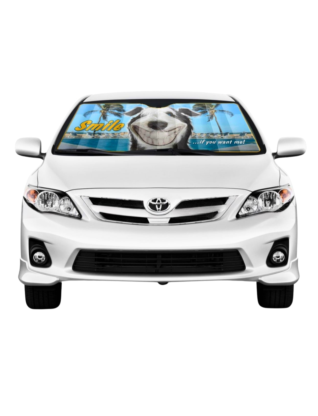 Front view of a white car showcasing the Sunland-Protection Car Sun Shade Twisted Whiskers "SMILE" (145cm x 70cm) with a large smiling dog's face, the word "Smile" in yellow, and a witty message in blue on the right. This quirky sunshade adds charm to your automotive accessories collection.